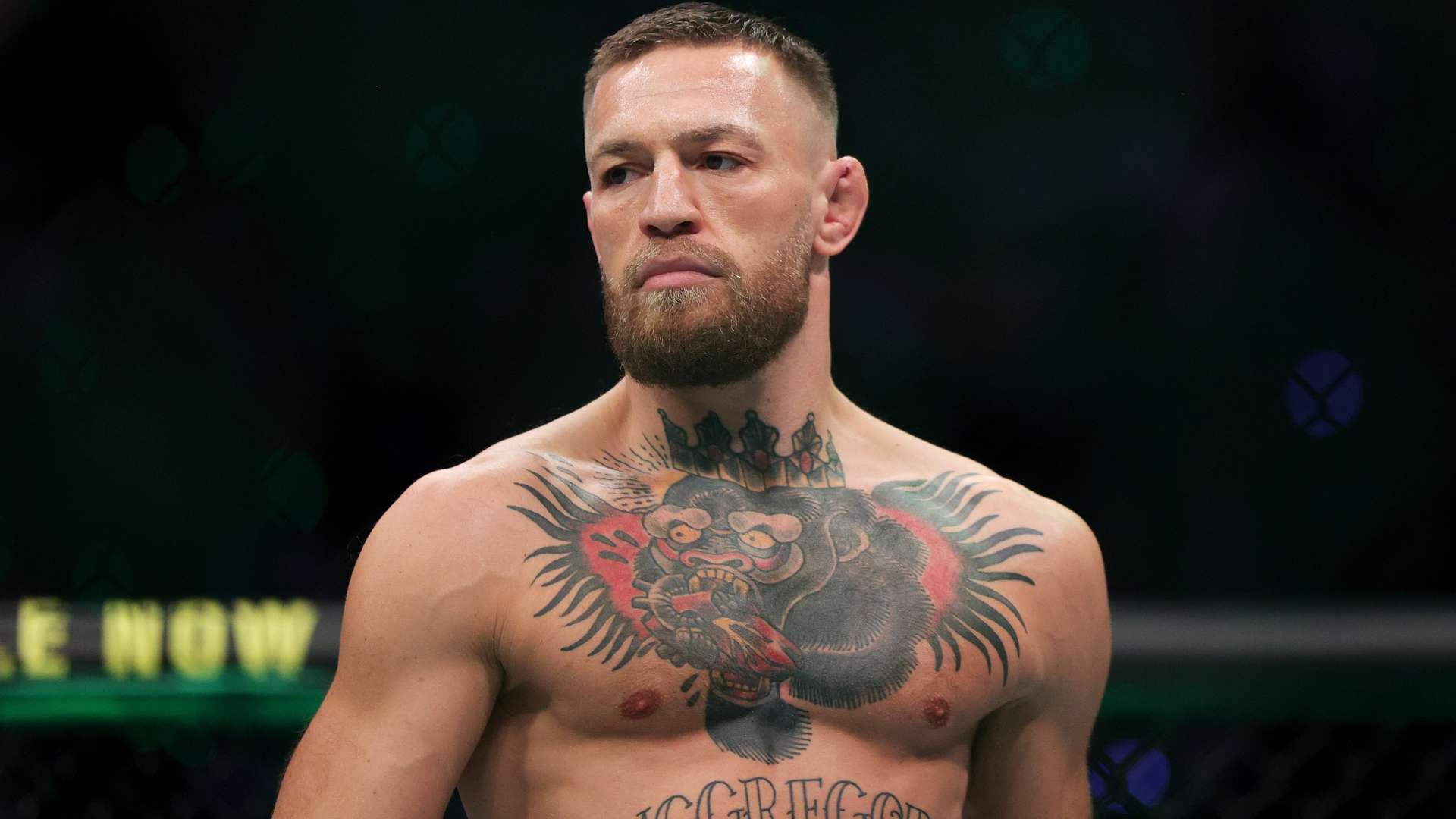 需要寻找突 需要寻找突