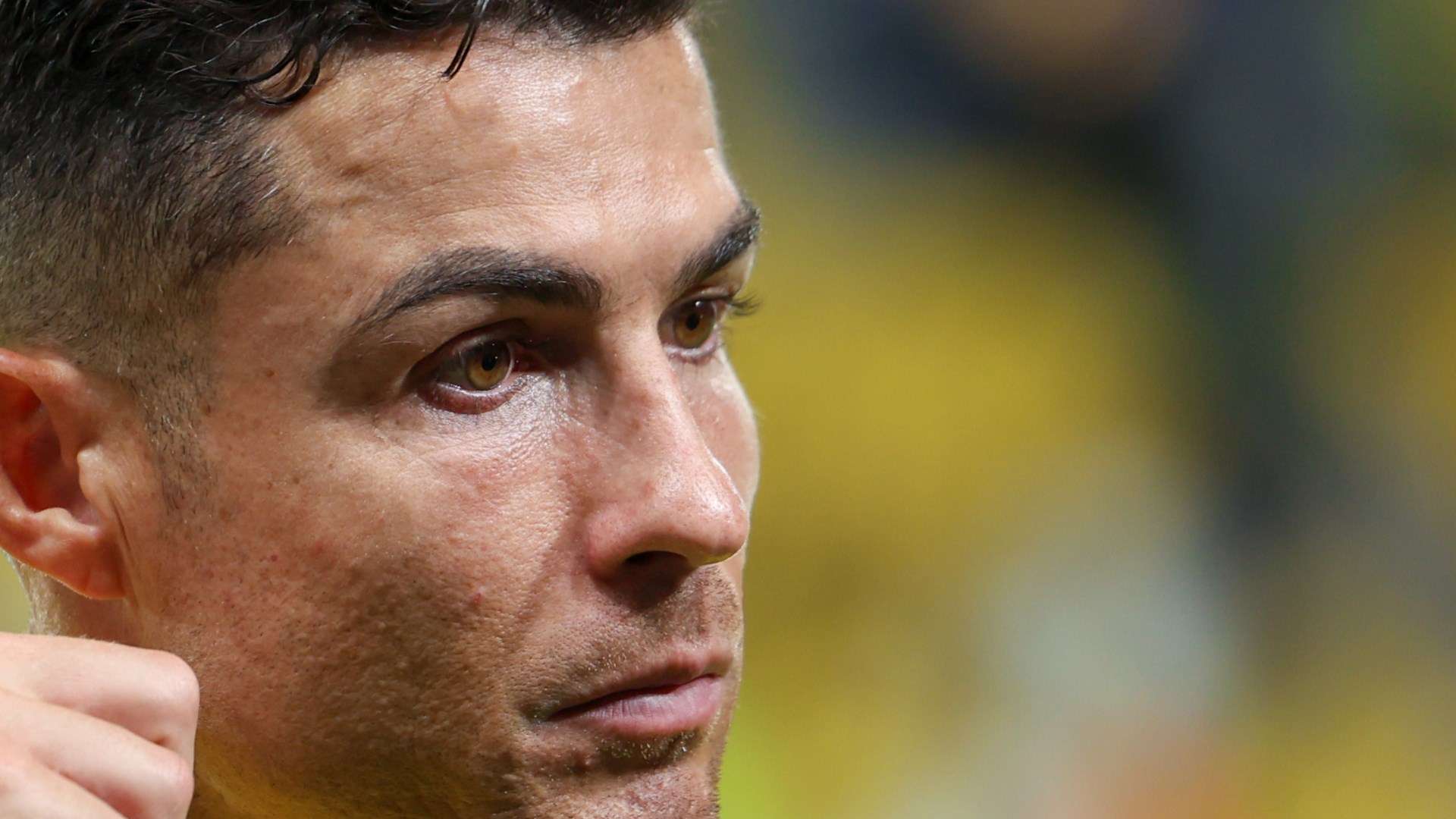 读者将能全 读者将能全