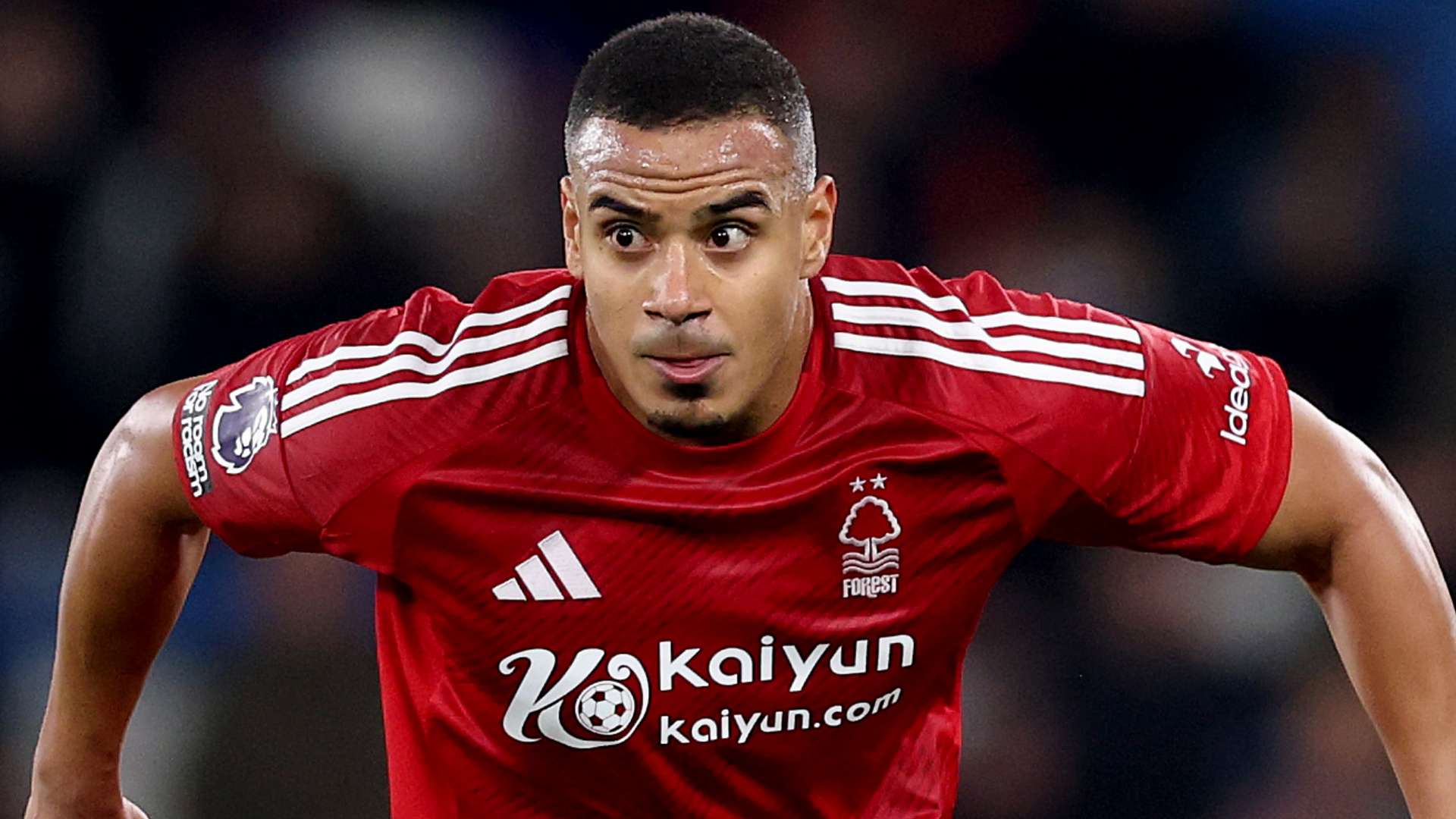 层更加清晰 层更加清晰